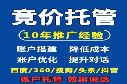 竞价托管服务案例解析